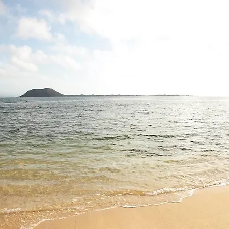 Pura Vida * Corralejo